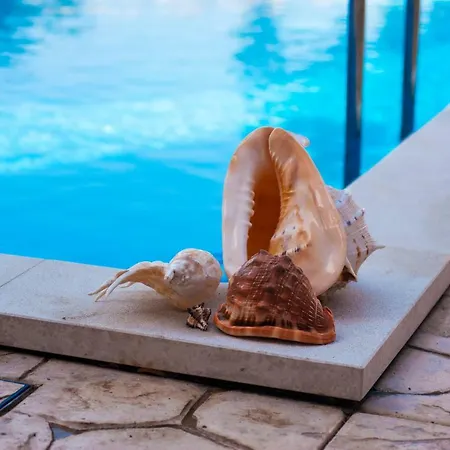 Διαμέρισμα House Lavander *