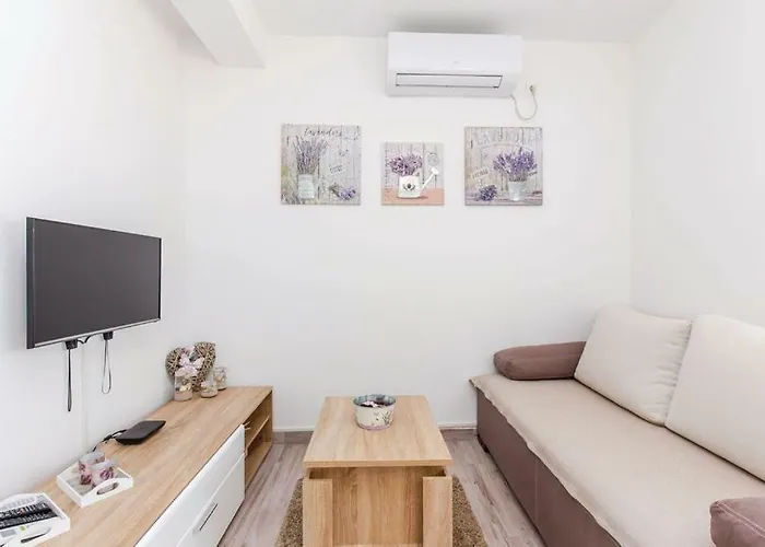 House Lavander Apartment